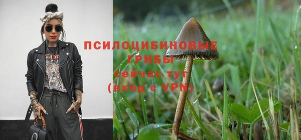 ешки Армянск
