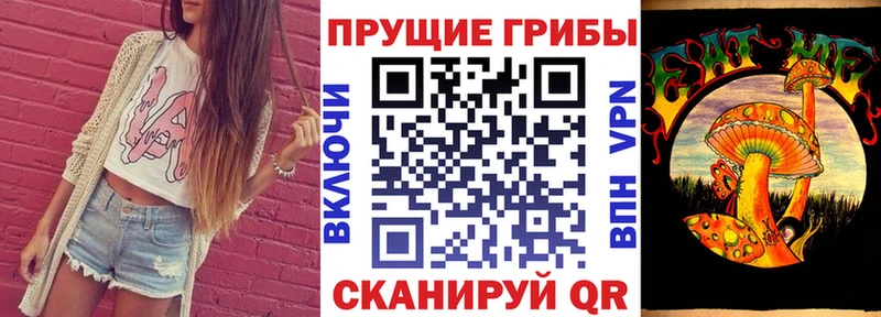 Псилоцибиновые грибы Psilocybe  Набережные Челны 